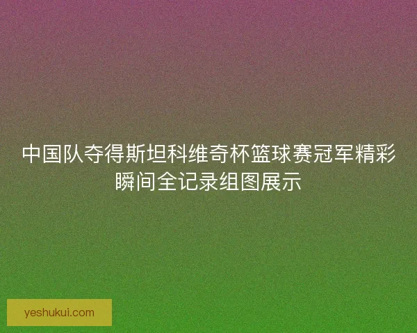 中国队夺得斯坦科维奇杯篮球赛冠军精彩瞬间全记录组图展示